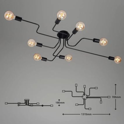 Briloner 2888-085 - Lámpara de techo FARETTO 8xE27/60W/230V negro