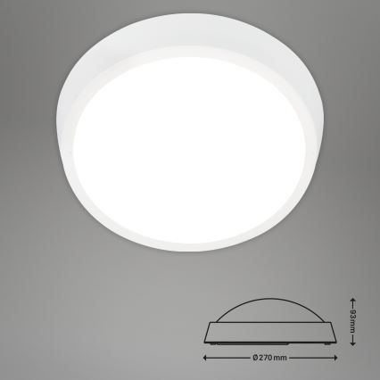 Briloner 3018-016 - Plafón LED de exterior HAGEN LED/24W/230V 4000K IP44 blanco