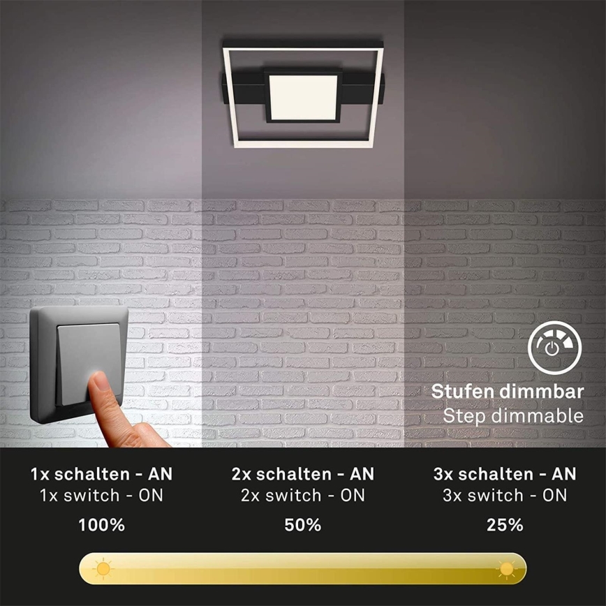 Briloner 3028-015 - Plafón LED regulable FRAME LED/38W/230V