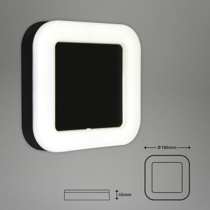 Briloner 3034-015 - Aplique LED para exterior LED/15W/230V 4000K