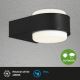 Briloner 3035-015 - Aplique LED de exterior HANAU LED/6,5W/230V IP44 negro
