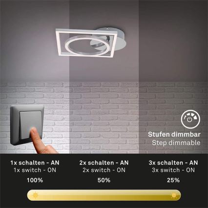 Briloner 3114-018 - Plafón LED regulable FRAME LED/19,6W/230V 3000K