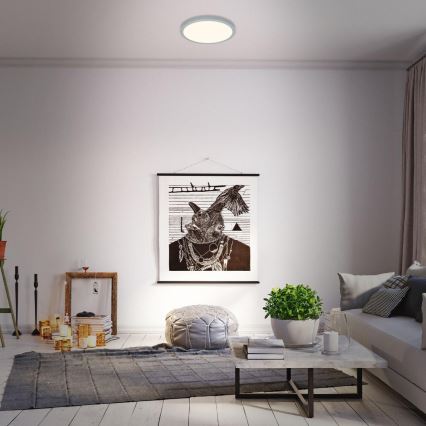 Briloner 3703-014 - Plafón LED RUNA LED/24W/230V 3000K diá. 38 cm plata