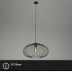 Briloner 4023-015 - Lámpara colgante KAGO 1xE27/60W/230V