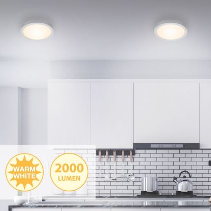 Briloner 7141-014 - Plafón LED FIRE LED/21W/230V 3000K