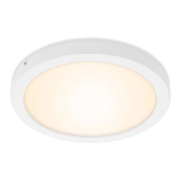 Briloner 7141-016 - Plafón LED FIRE LED/21W/230V