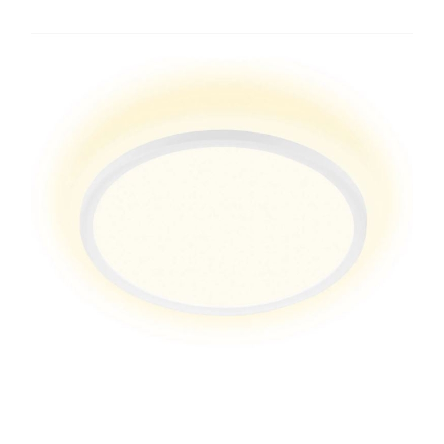 Briloner 7155-416 - Plafón LED SLIM LED/18W/230V