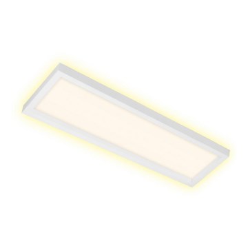 Briloner 7365-016 - Plafón LED CADRE LED/22W/230V 58,2x20,2 cm blanco