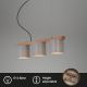 Briloner - Lámpara colgante RHON 3xE14/25W/230V árbol de caucho