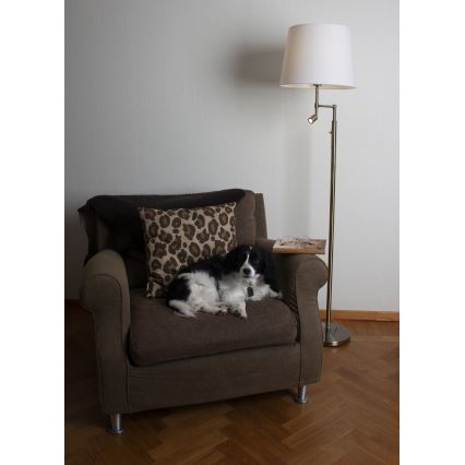 ByRydens - Lámpara LED de pie ORLANDO 1xE27/5W/230V + LED/3W blanco/bronce diá. 36 cm
