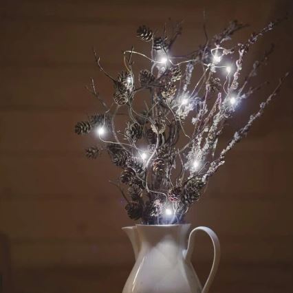 Cadena de luces de Navidad LED 20xLED/2xAA 2,4m blanco frío