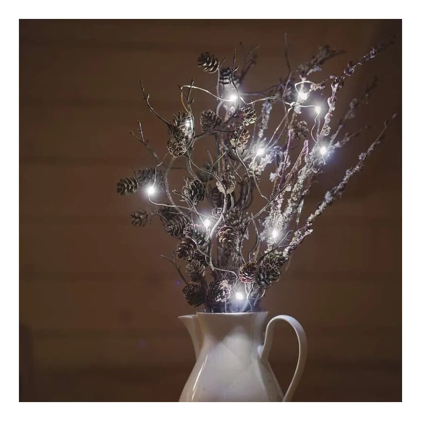 Cadena de luces de Navidad LED 20xLED/2xAA 2,4m blanco frío