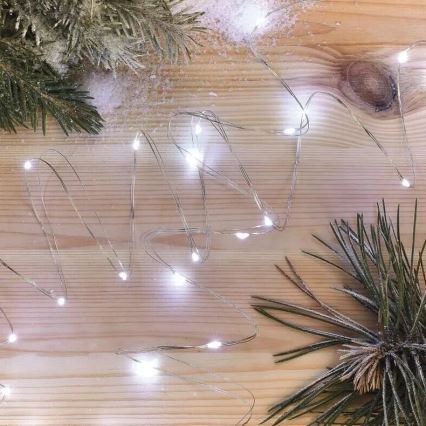 Cadena de luces de Navidad LED 20xLED/2xAA 2,4m blanco frío