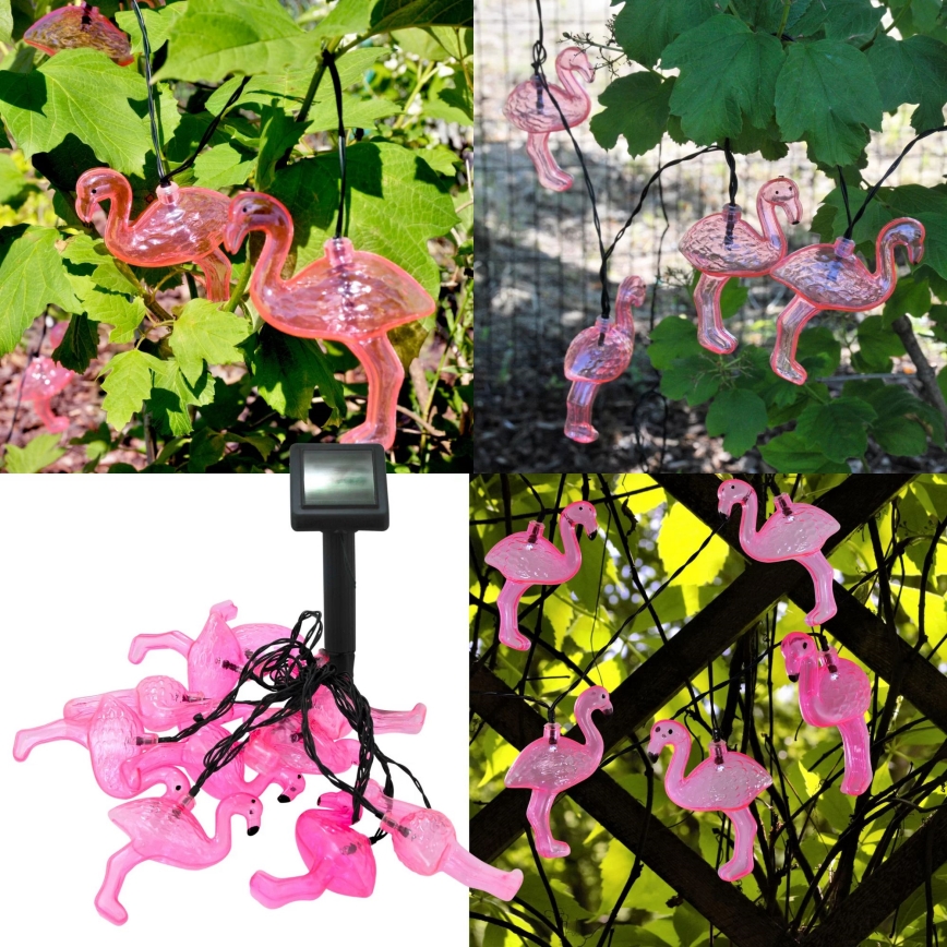 Cadena decorativa LED solar 10xLED/1,2V 300 mAh 3,8 m IP44 flamenco
