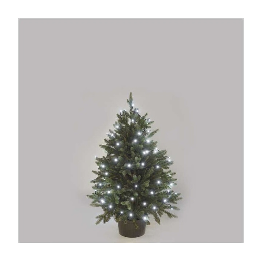 Cadena LED de Navidad para exteriores 40xLED/9m IP44 blanco frío