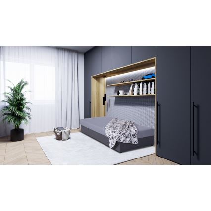 Cama de día tapizada con espacio de almacenamiento JACOB XL capacidad de carga 130 kg 90x200 cm gris