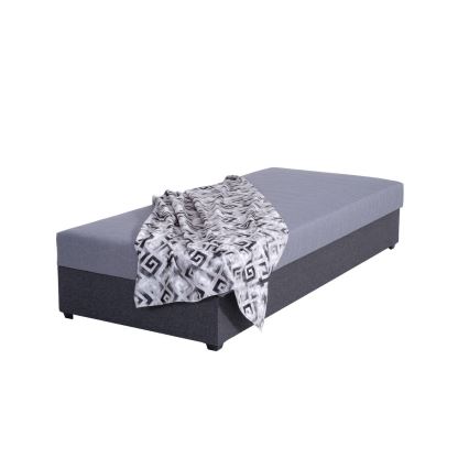 Cama de día tapizada con espacio de almacenamiento JACOB XL capacidad de carga 130 kg 90x200 cm gris