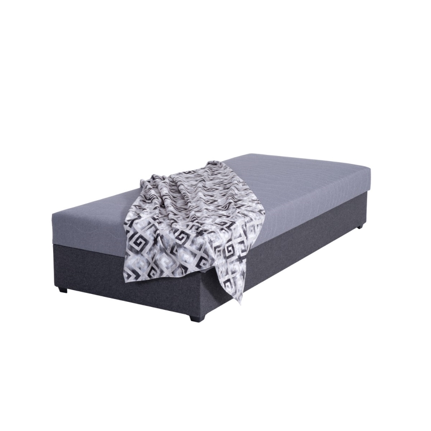 Cama de día tapizada con espacio de almacenamiento JACOB XL capacidad de carga 130 kg 90x200 cm gris