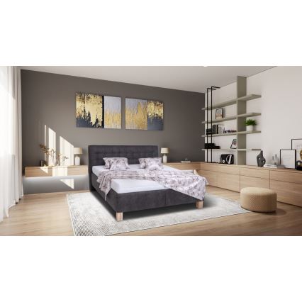Cama tapizada con colchón y espacio de almacenamiento VIOLET 160x200 cm gris oscuro