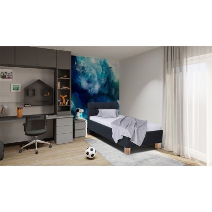 Cama tapizada con espacio de almacenamiento sin colchón MARIA ONE 90x200 cm antracita