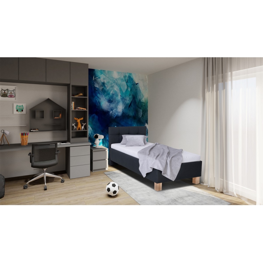 Cama tapizada con espacio de almacenamiento sin colchón MARIA ONE 90x200 cm antracita