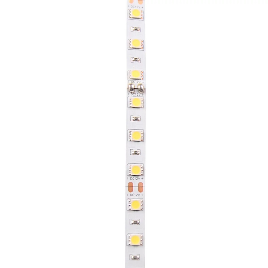 Cinta LED 5m LED/10W/12V IP20 blanco