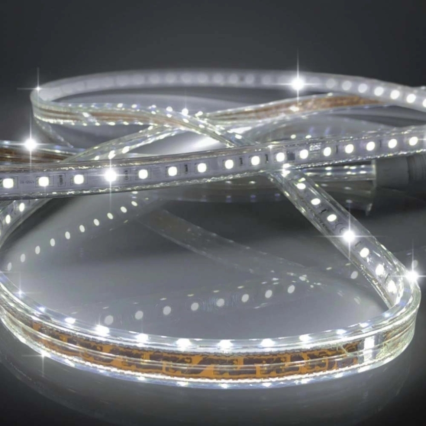 Cinta LED EASY CONNECT LED/14,4W/230V 3m IP67 blanco frío
