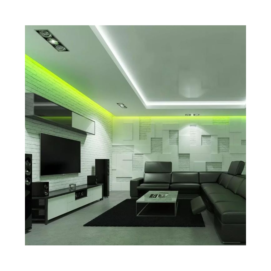 Cinta LED RGB Regulable 2x5m LED/4,8W/230V + CR