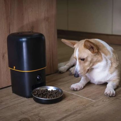 Comedero automático con micrófono y cámara 4l/5V/3xD Wi-Fi