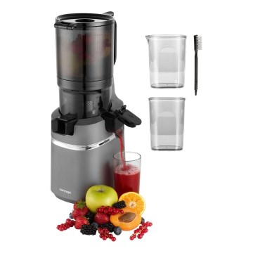 Concept LO7120 - Extractor de jugos lento JUICY 250W/230V gris