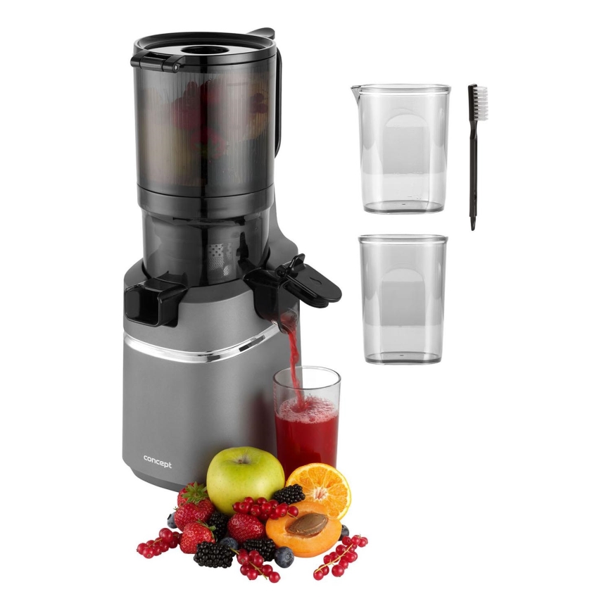Concept LO7120 - Extractor de jugos lento JUICY 250W/230V gris