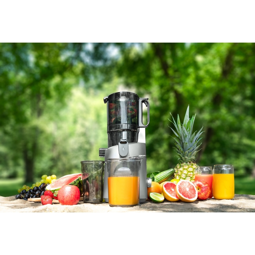 Concept LO7120 - Extractor de jugos lento JUICY 250W/230V gris