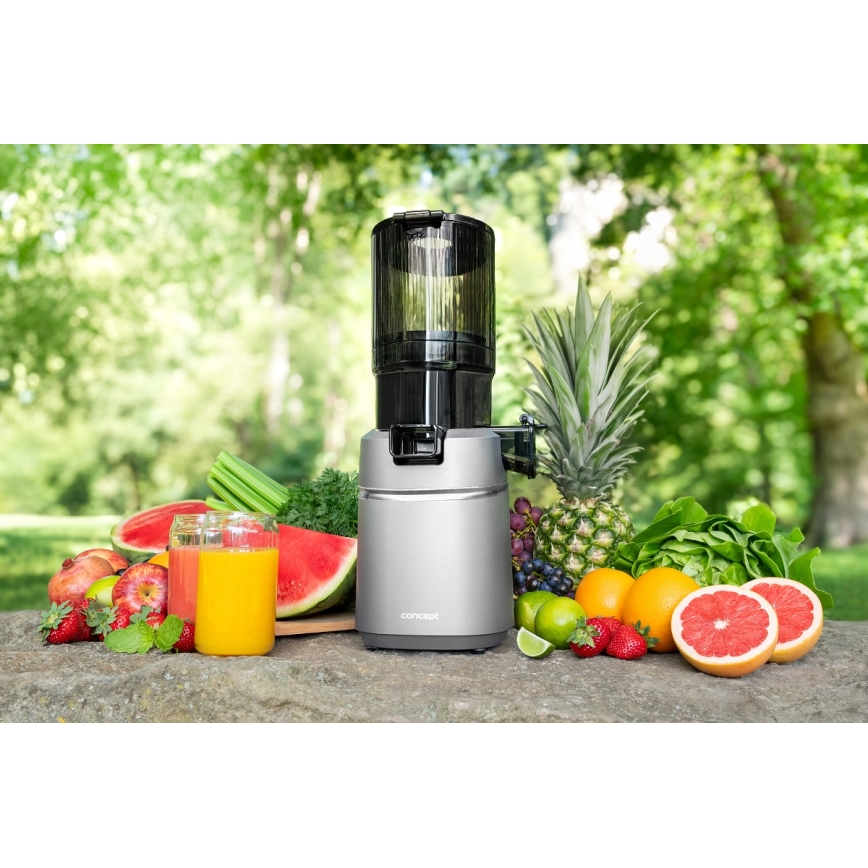 Concept LO7120 - Extractor de jugos lento JUICY 250W/230V gris