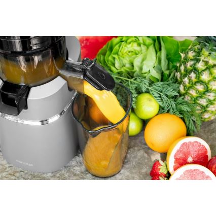 Concept LO7120 - Extractor de jugos lento JUICY 250W/230V gris