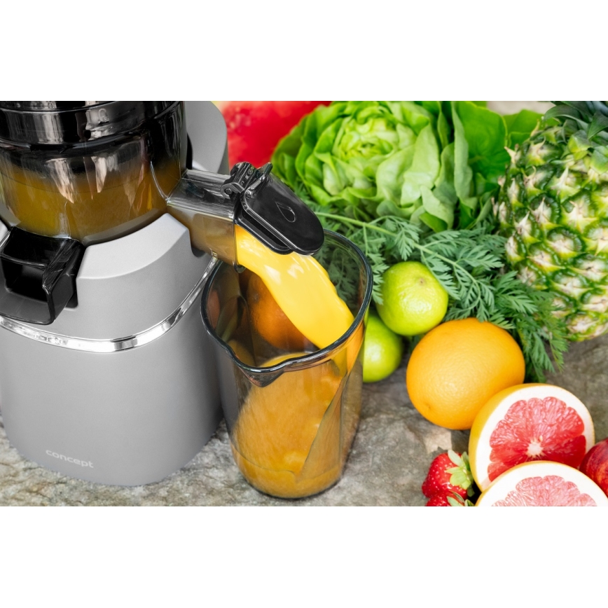 Concept LO7120 - Extractor de jugos lento JUICY 250W/230V gris