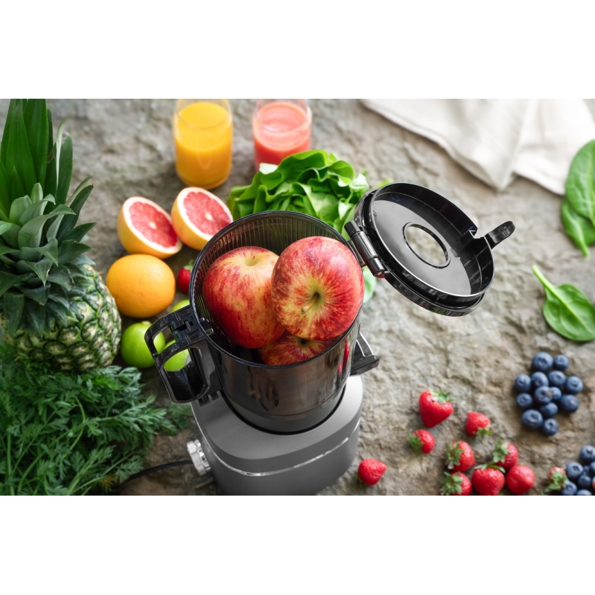 Concept LO7120 - Extractor de jugos lento JUICY 250W/230V gris