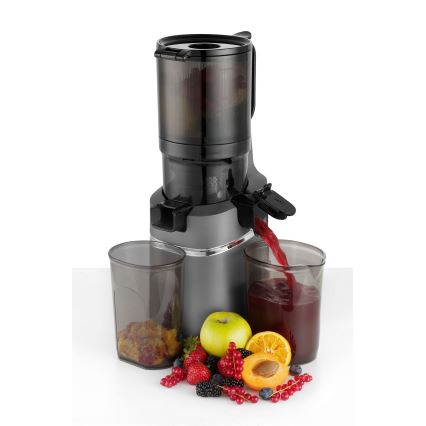 Concept LO7120 - Extractor de jugos lento JUICY 250W/230V gris