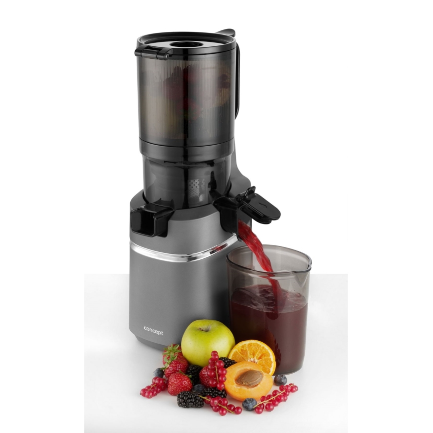 Concept LO7120 - Extractor de jugos lento JUICY 250W/230V gris