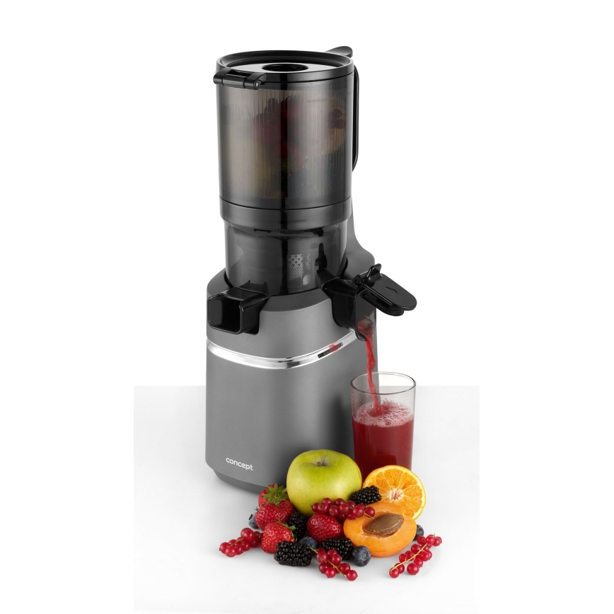 Concept LO7120 - Extractor de jugos lento JUICY 250W/230V gris