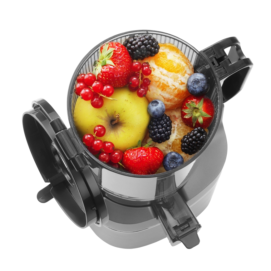 Concept LO7120 - Extractor de jugos lento JUICY 250W/230V gris