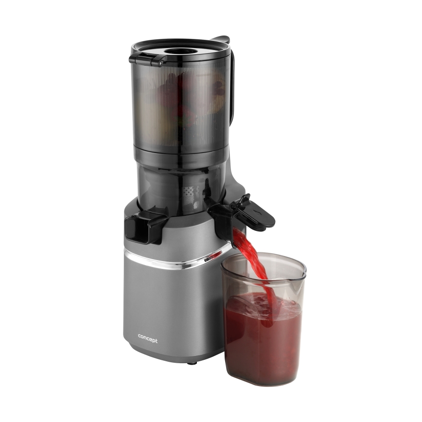 Concept LO7120 - Extractor de jugos lento JUICY 250W/230V gris