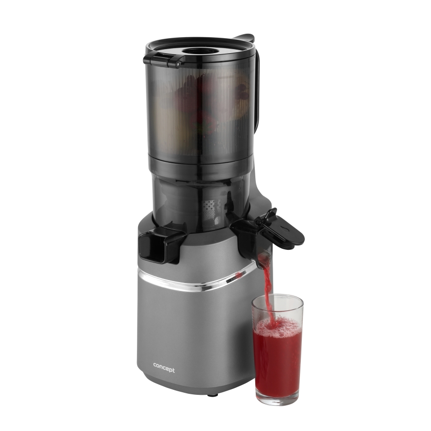 Concept LO7120 - Extractor de jugos lento JUICY 250W/230V gris