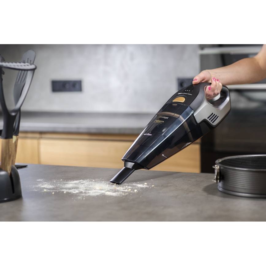 Concept VP4353 - Aspiradora de mano WET & DRY RISER EXTENSION 110W/18,5V 2200 mAh negro
