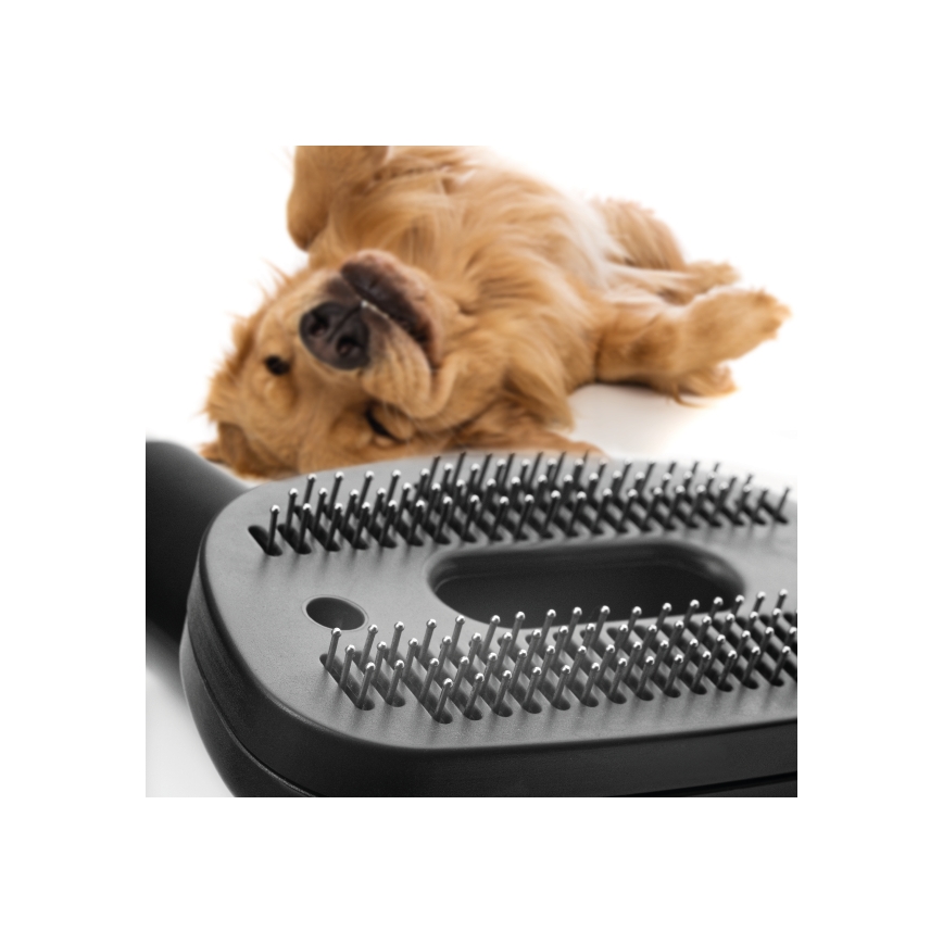 Concept VP5240N - Aspiradora sin bolsa 4A RADICAL PET EXPERT 2,5 l 800W/230V bronce