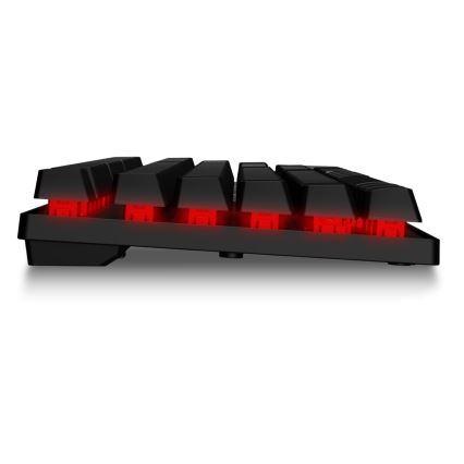 CONNECT IT CKM-3200-CS - Teclado y ratón gaming con cable LED RGB 1200/1800/2400/3600 DPI con localización checo/eslovaco negro