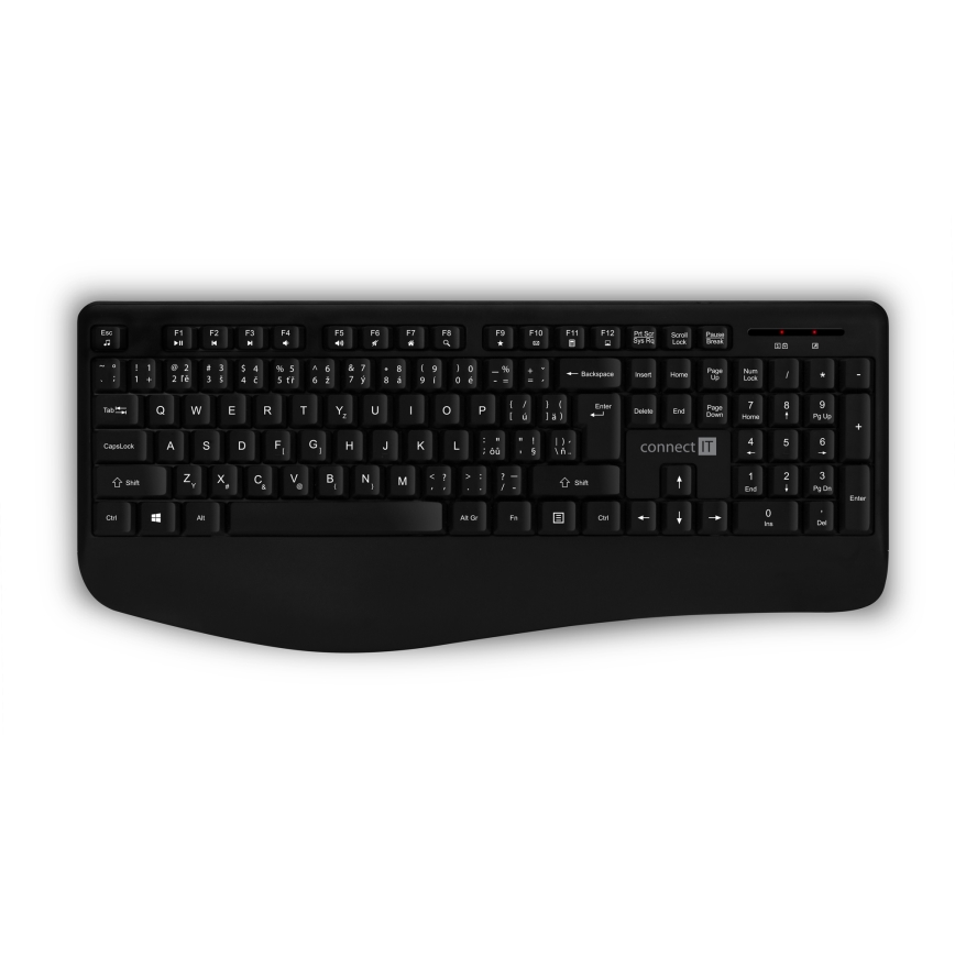 CONNECT IT CKM-7803-CS - Teclado y ratón inalámbricos 1200 DPI con localización para checo/eslovaco 1xAAA + 1xAA negro