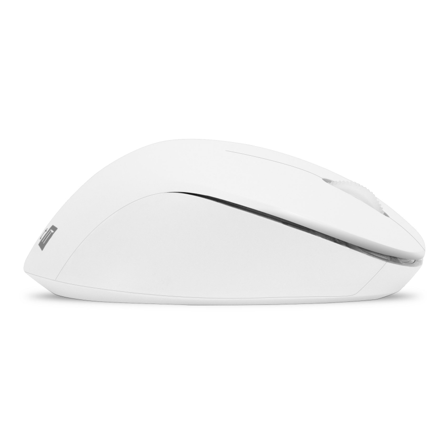 CONNECT IT CKM-7804-CS - Teclado y ratón inalámbricos 1200 DPI con localización para checo/eslovaco 1xAAA + 1xAA blanco