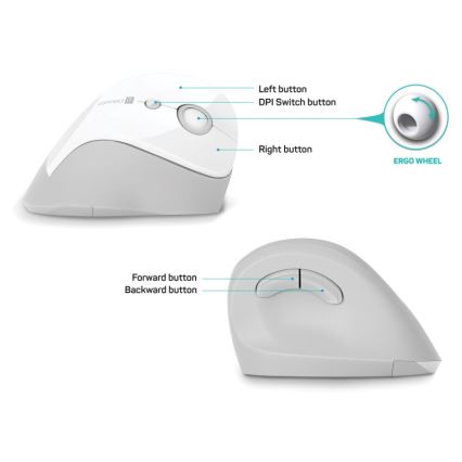 CONNECT IT CMO-2700-WH - Ratón ergonómico inalámbrico 800/1200/1600 DPI 1xAA blanco