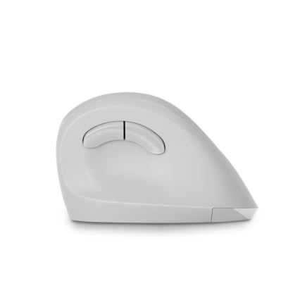 CONNECT IT CMO-2700-WH - Ratón ergonómico inalámbrico 800/1200/1600 DPI 1xAA blanco