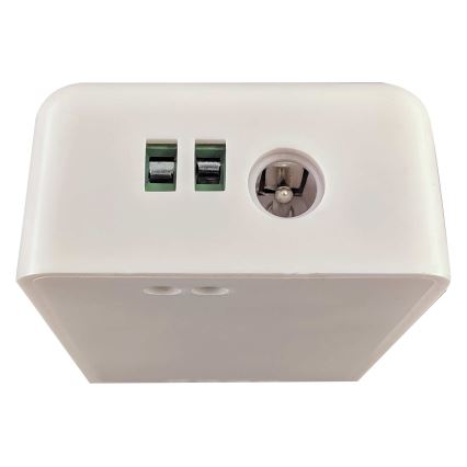 Controlador inteligente para cintas LED unicolor 5-24V Wi-Fi Tuya